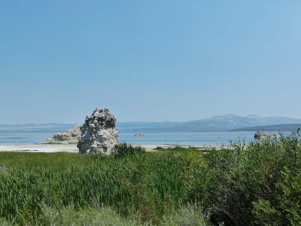 USA2015 (14)