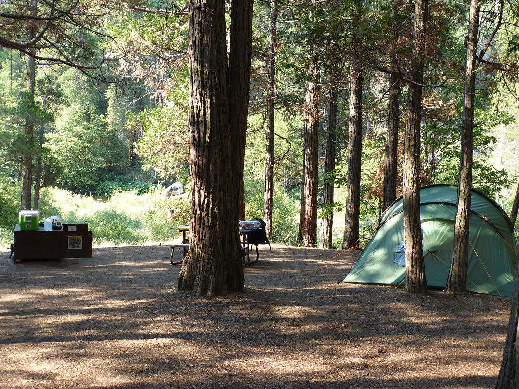 USA2015 (18)