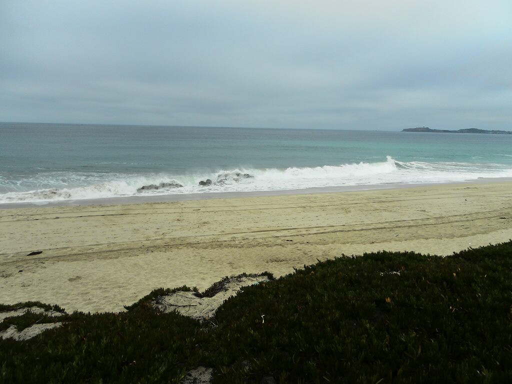 USA2015 (29)